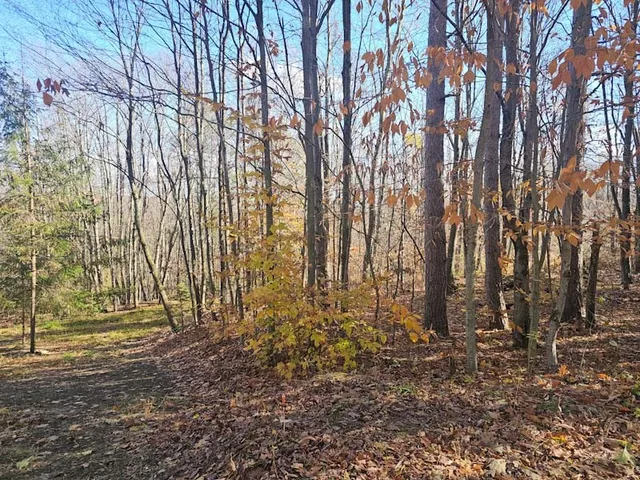 $44,900 | 0 Thunder Mountain East, Wayland, NY 14572