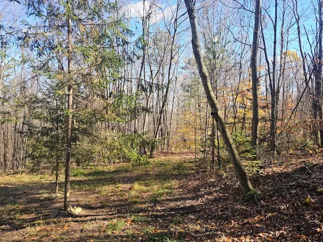 $44,900 | 0 Thunder Mountain East, Wayland, NY 14572