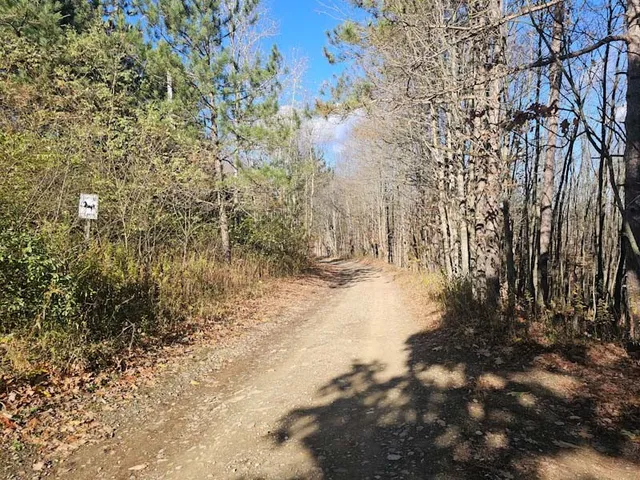 $44,900 | 0 Thunder Mountain East, Wayland, NY 14572