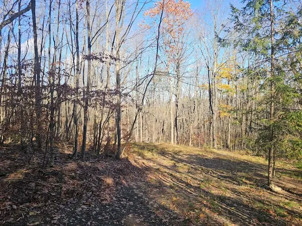 $44,900 | 0 Thunder Mountain East, Wayland, NY 14572