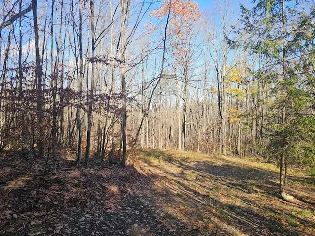 $44,900 | 0 Thunder Mountain East, Wayland, NY 14572