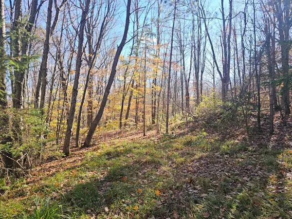 $44,900 | 0 Thunder Mountain East, Wayland, NY 14572