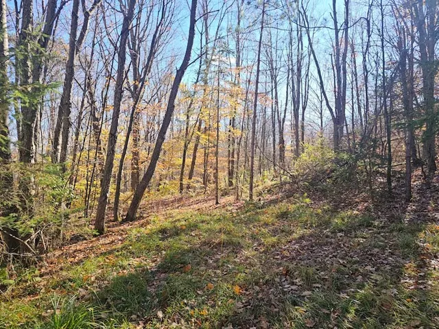 $44,900 | 0 Thunder Mountain East, Wayland, NY 14572