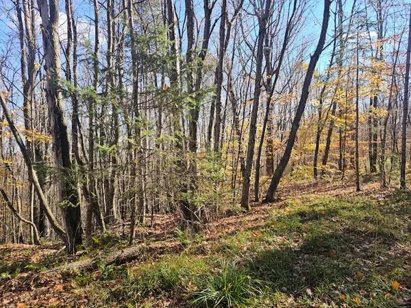 $44,900 | 0 Thunder Mountain East, Wayland, NY 14572