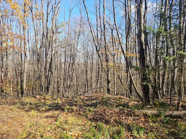 $44,900 | 0 Thunder Mountain East, Wayland, NY 14572