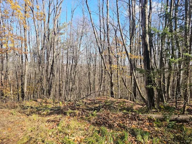 $44,900 | 0 Thunder Mountain East, Wayland, NY 14572