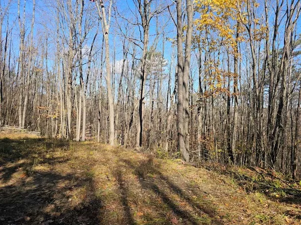 $44,900 | 0 Thunder Mountain East, Wayland, NY 14572