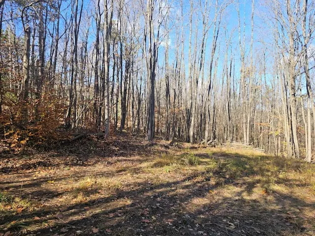 $44,900 | 0 Thunder Mountain East, Wayland, NY 14572