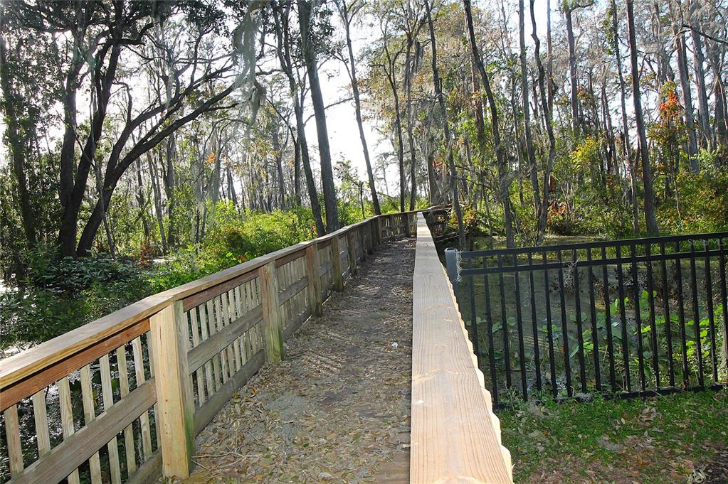 1079 West Magnolia Street Clermont, FL 34711 - Photo 9 of 13