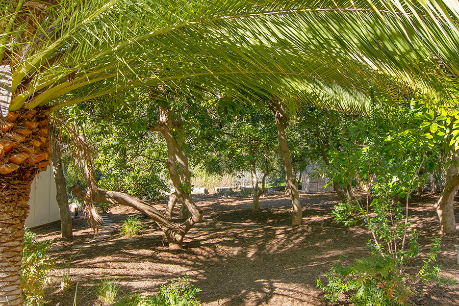 12774 Treeranch Road Ojai, CA 93023 - Photo 28 of 43 LHP_12774 Tree Ranch Exterior_12