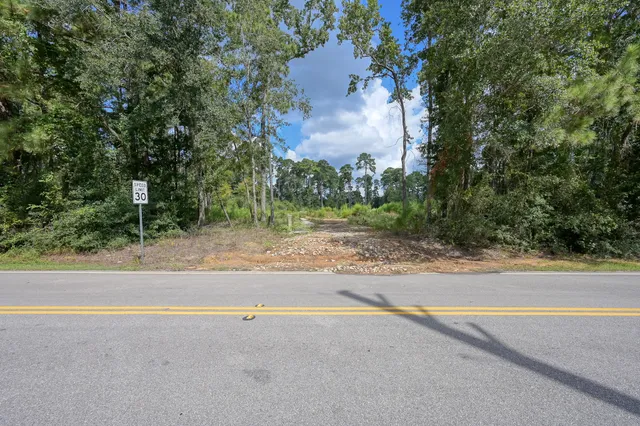 a view of a field with large trees