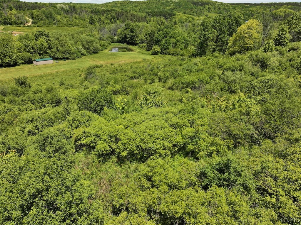 North Branch Road Friendship, NY 14739 - Photo 15 of 27