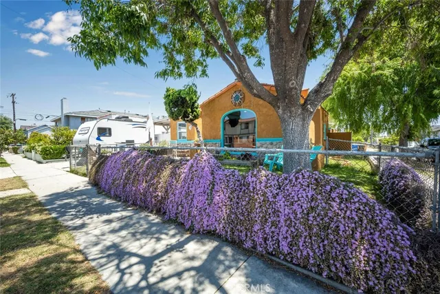 a view of a yard with plants and a fountain