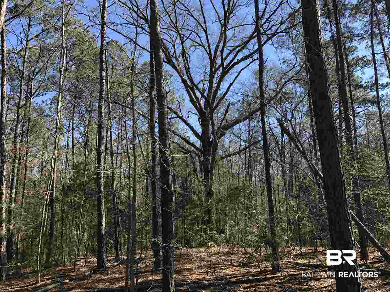 1478 Ridge Road Greenville, AL 36037 - Photo 45 of 50