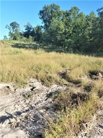 $624,000 | Tbd Foxtrotter Lane, Macks Creek, MO 65786