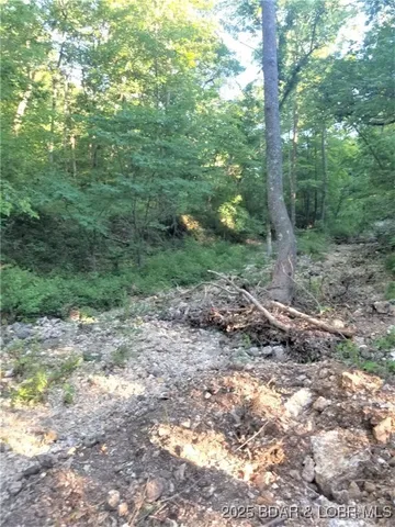 $624,000 | Tbd Foxtrotter Lane, Macks Creek, MO 65786