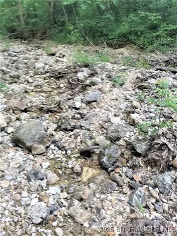 $624,000 | Tbd Foxtrotter Lane, Macks Creek, MO 65786