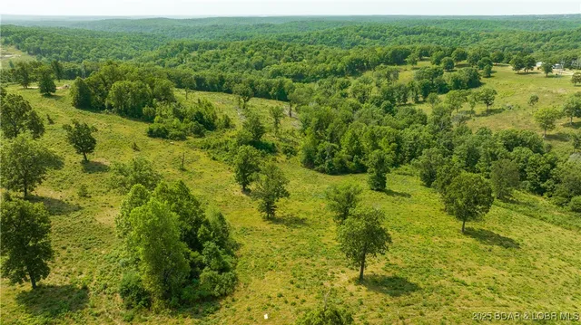 $624,000 | Tbd Foxtrotter Lane, Macks Creek, MO 65786