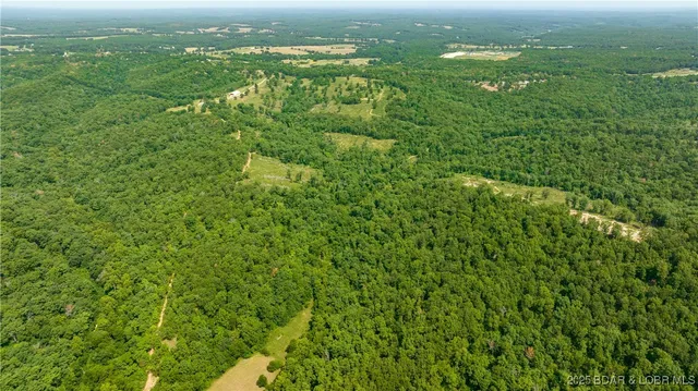 $624,000 | Tbd Foxtrotter Lane, Macks Creek, MO 65786