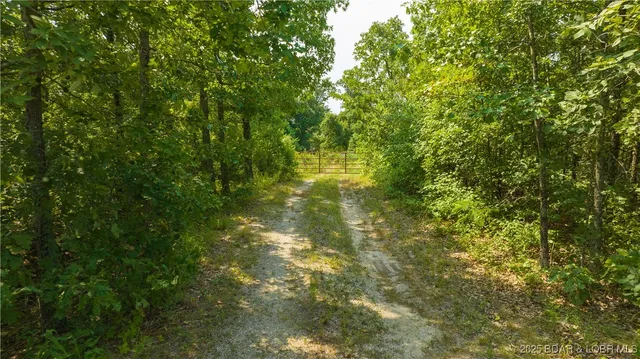 $624,000 | Tbd Foxtrotter Lane, Macks Creek, MO 65786