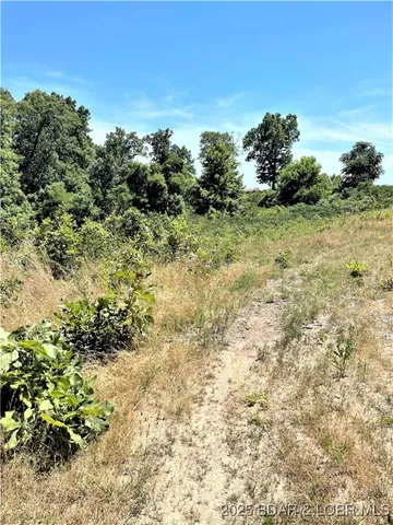 $624,000 | Tbd Foxtrotter Lane, Macks Creek, MO 65786