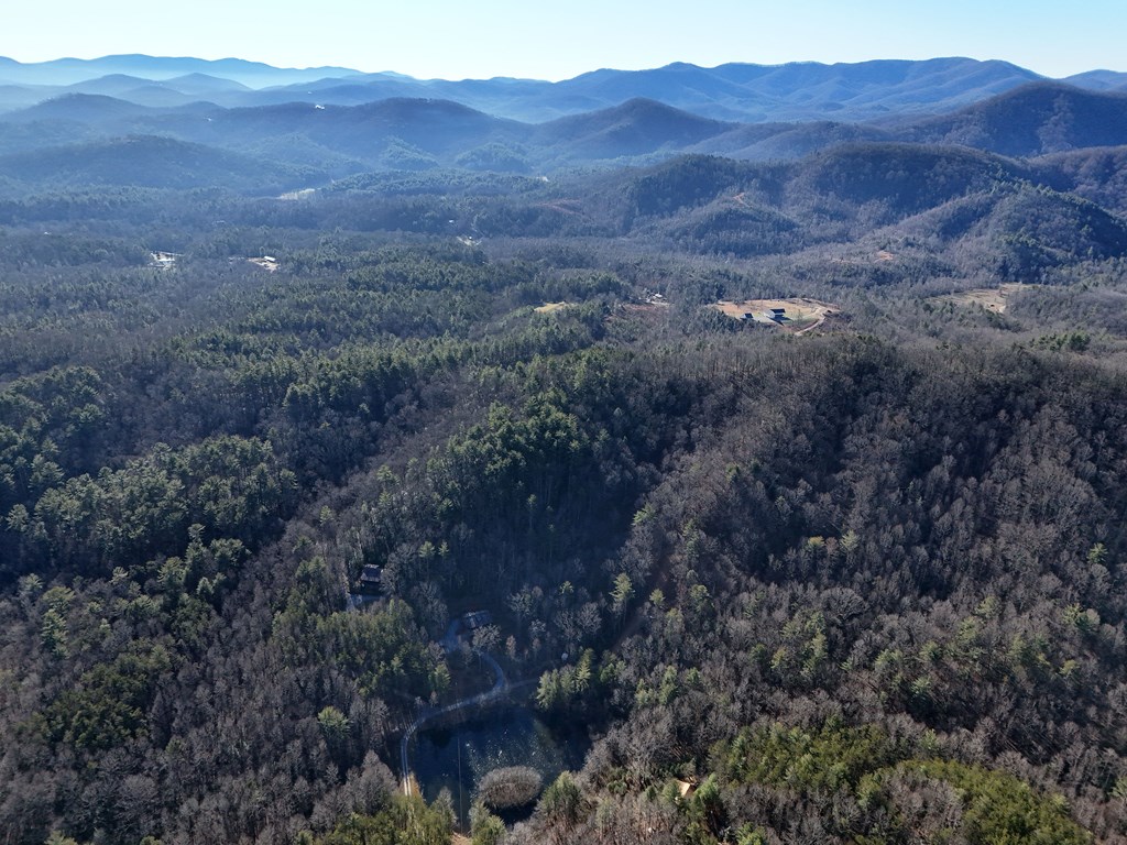 5-acres Hells Holw Way Blue Ridge, GA 30513 - Photo 40 of 43 Gallery Image 40