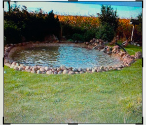 14746 Ash Road Genoa, IL 60135 - Photo 12 of 31