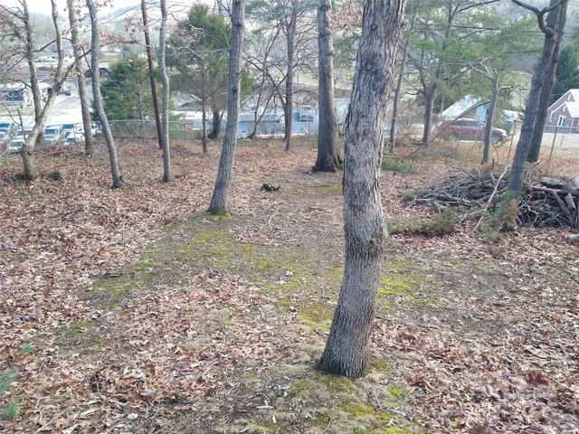 a view of a trees with yard