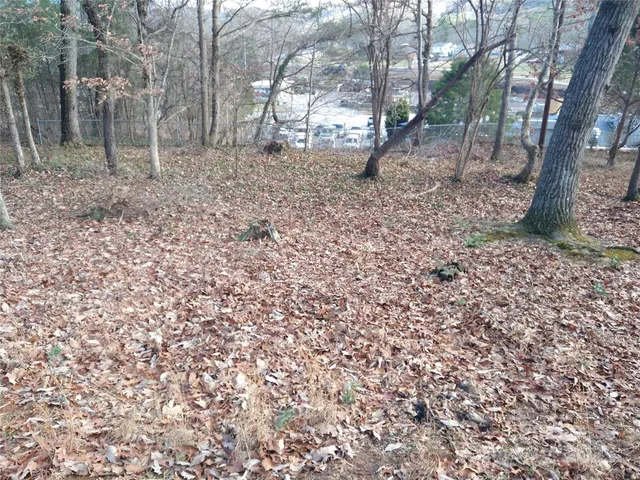 a view of a yard with a tree