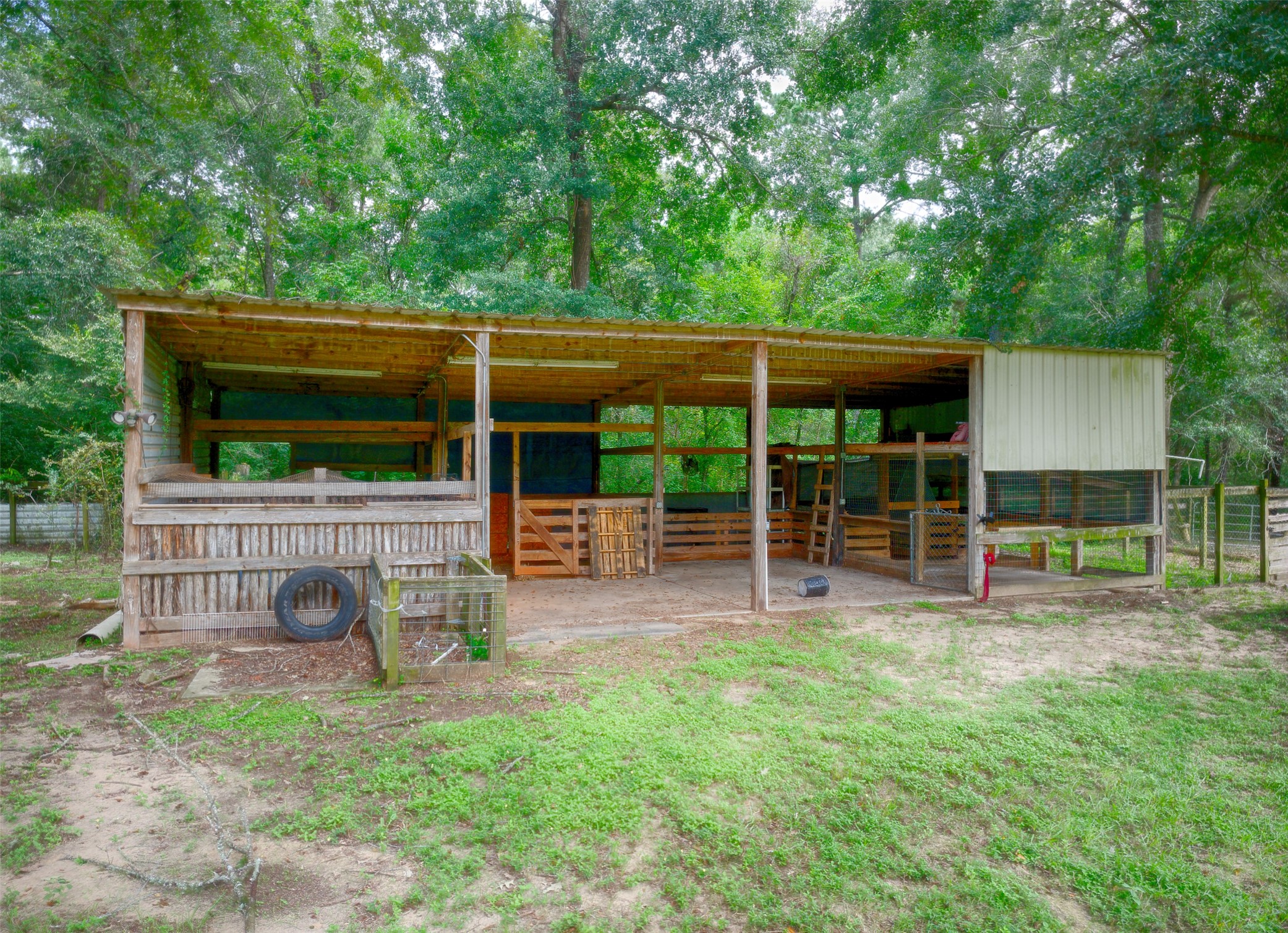 3131 Sapp Road Conroe, TX 77304 - Photo 33 of 48 a view of a backyard with plants and large tree