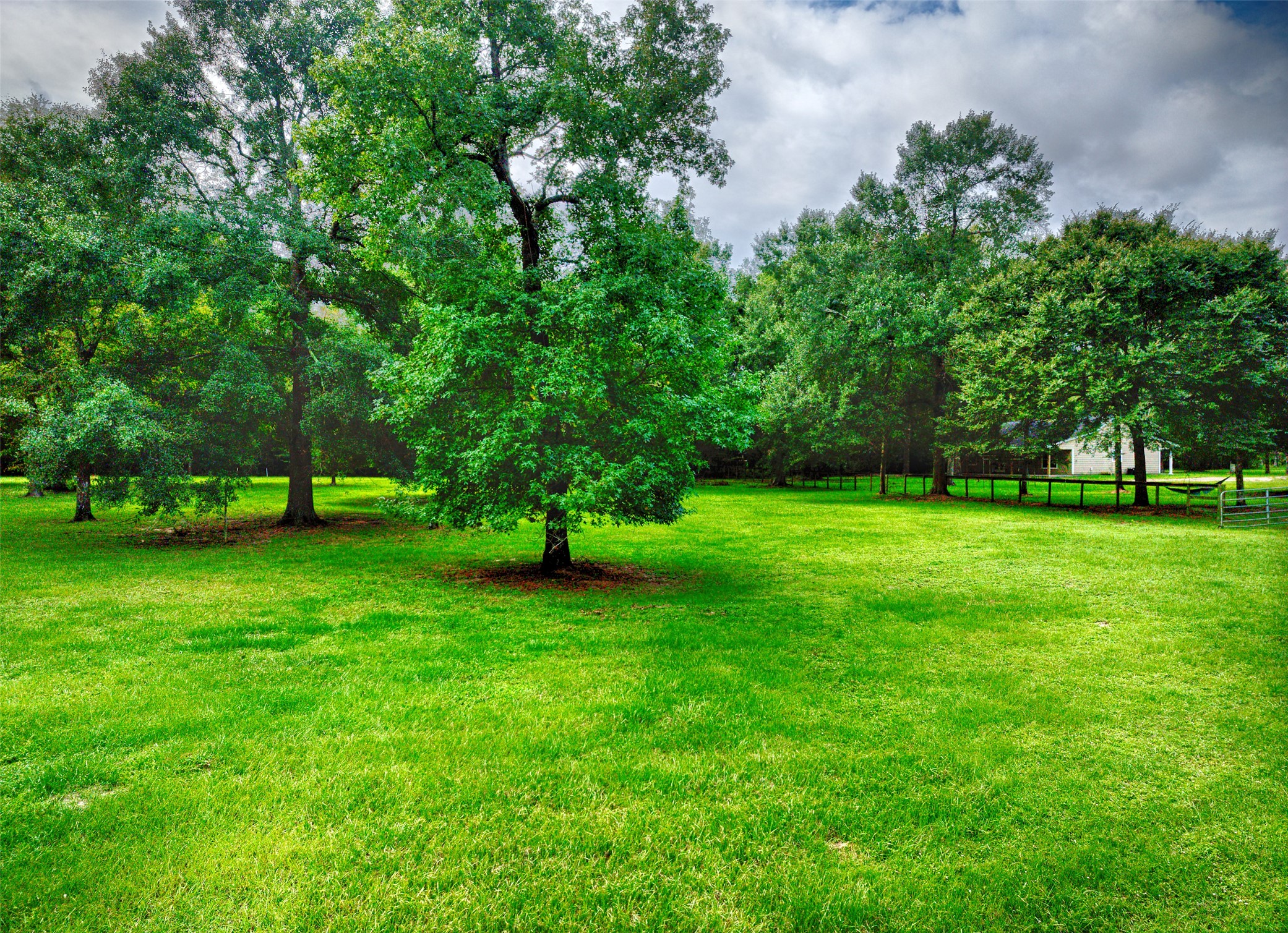 3131 Sapp Road Conroe, TX 77304 - Photo 36 of 48 a view of field with trees in the background