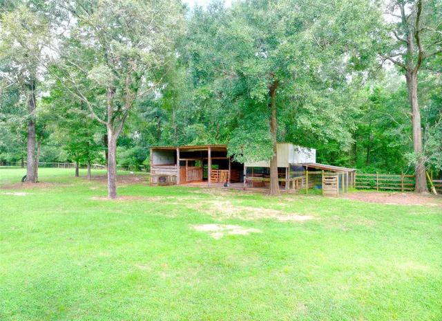 a view of a park with large trees