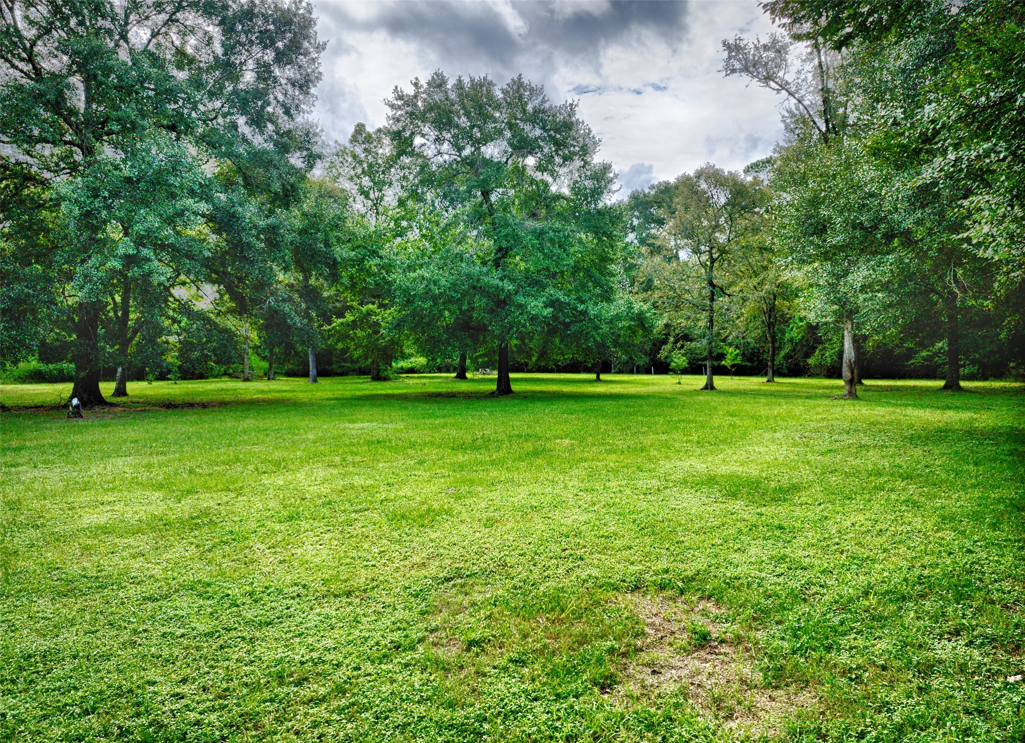 3131 Sapp Road Conroe, TX 77304 - Photo 42 of 48 a view of a grassy field with benches in background