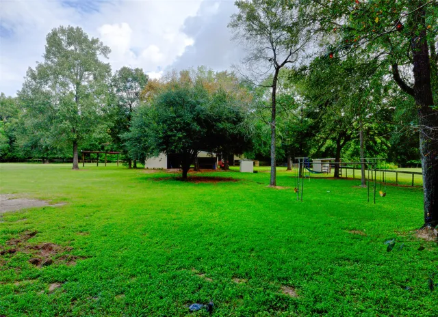 a view of a park with large trees