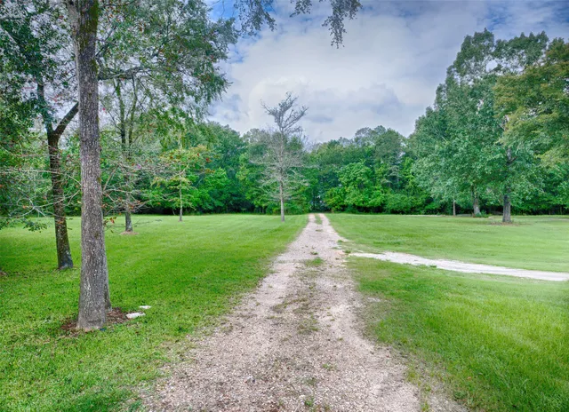 a view of a trees with a yard