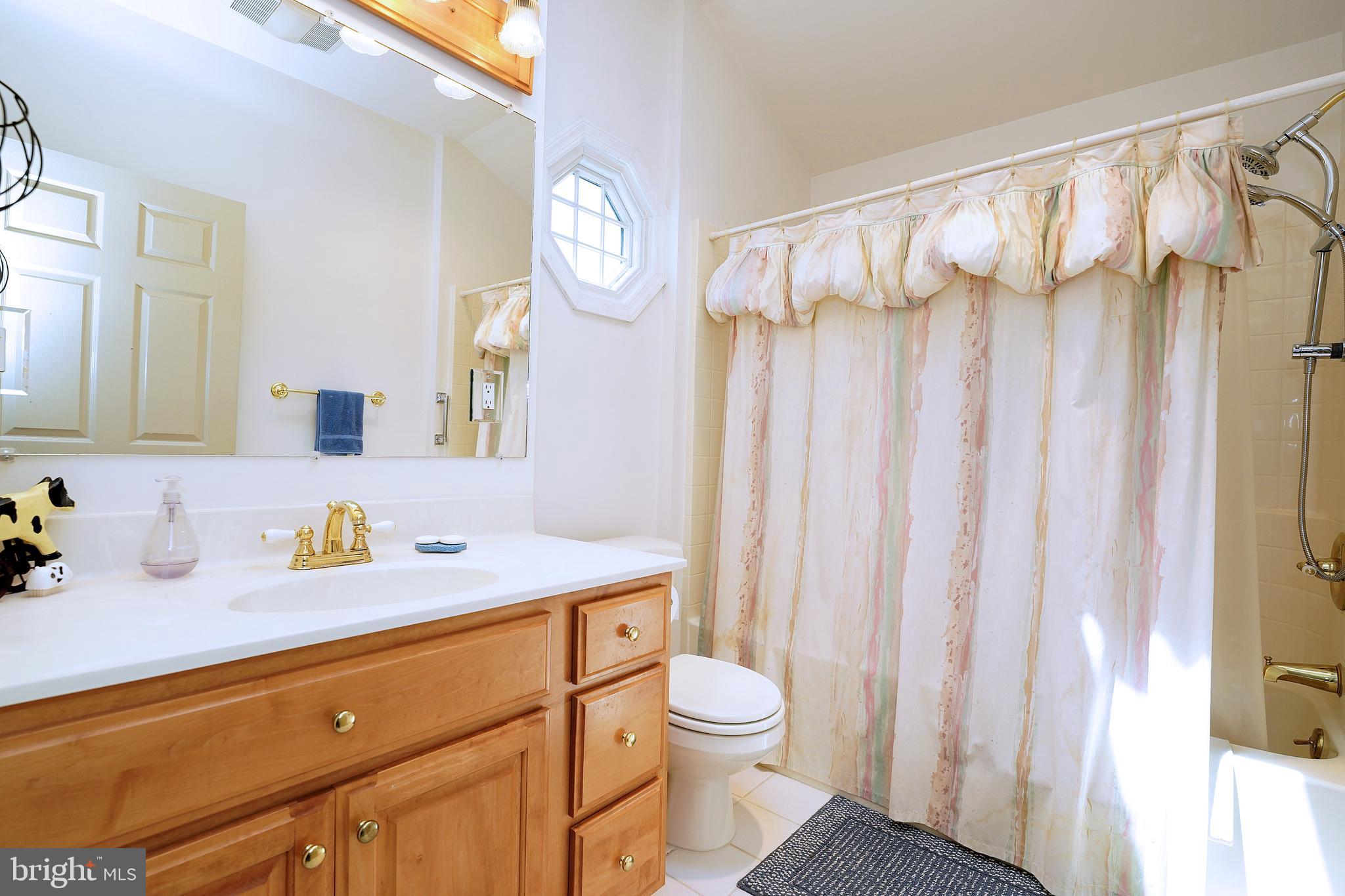 58 Mountainview Road Ewing, NJ 08628 - Photo 31 of 47 Full Master Bathroom-Skylight