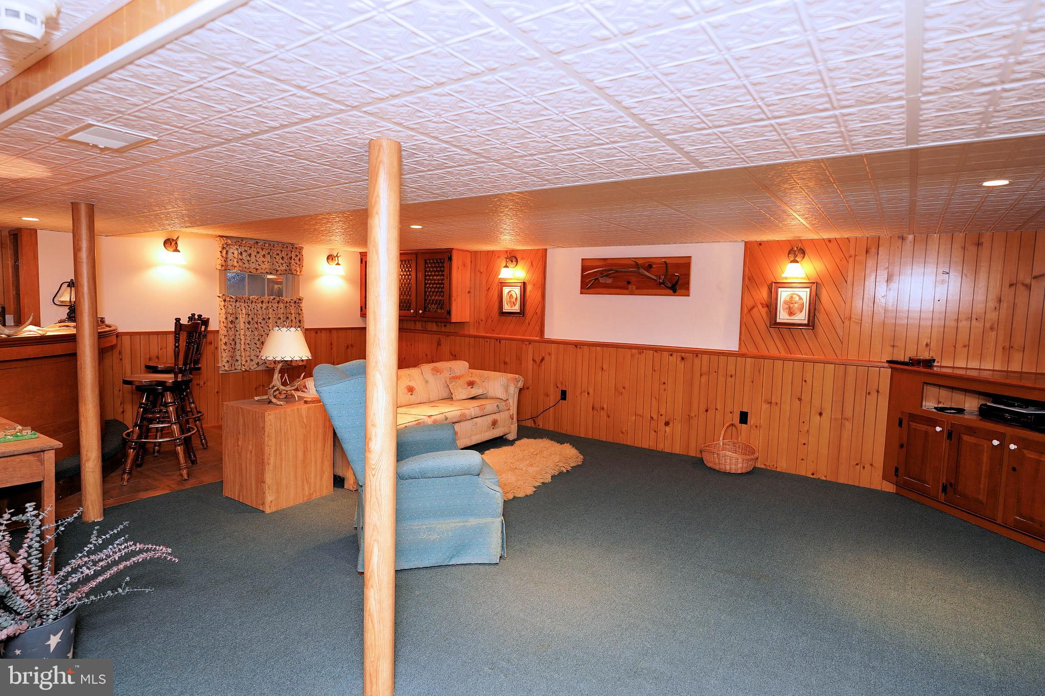 58 Mountainview Road Ewing, NJ 08628 - Photo 38 of 47 Finished Basement