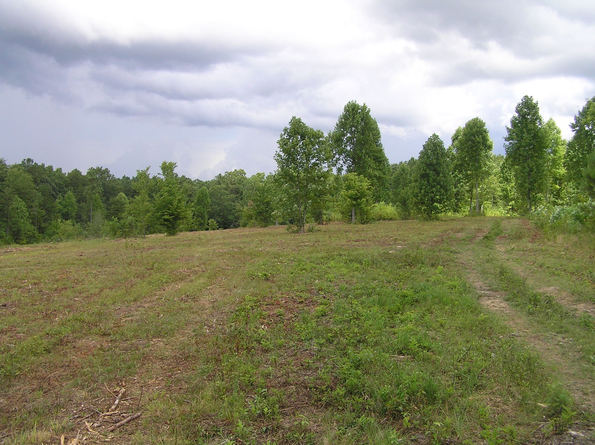 8766 Fredonia Road Dunlap, TN 37327 - Photo 1 of 41 a view of a field with trees in background
