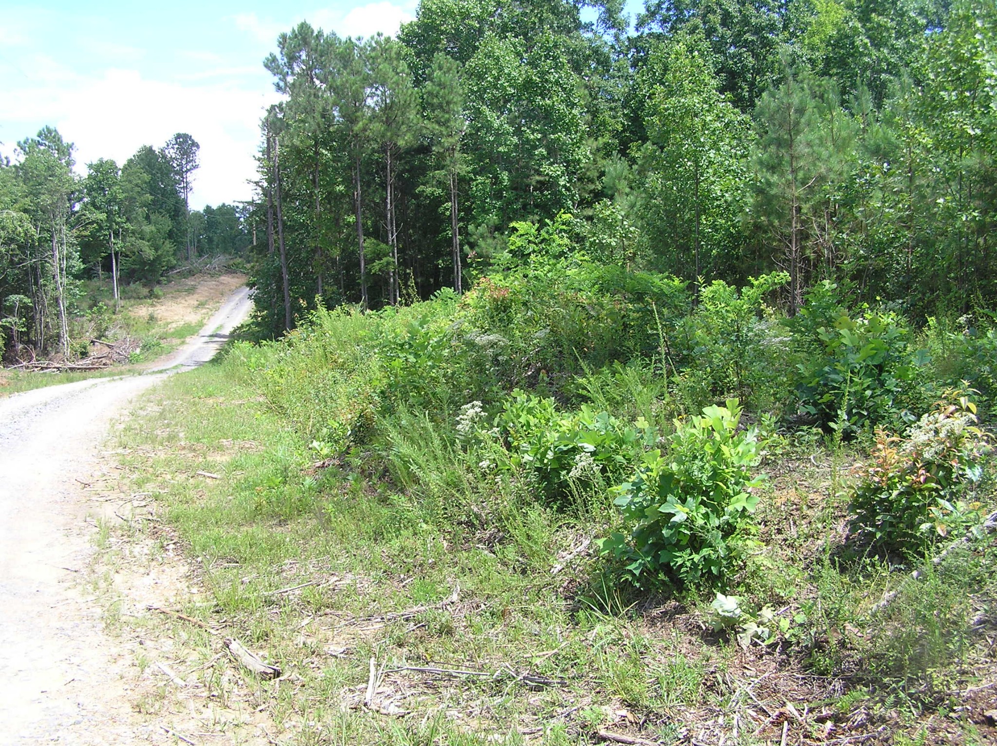 8766 Fredonia Road Dunlap, TN 37327 - Photo 13 of 41 a view of a lake with top of house