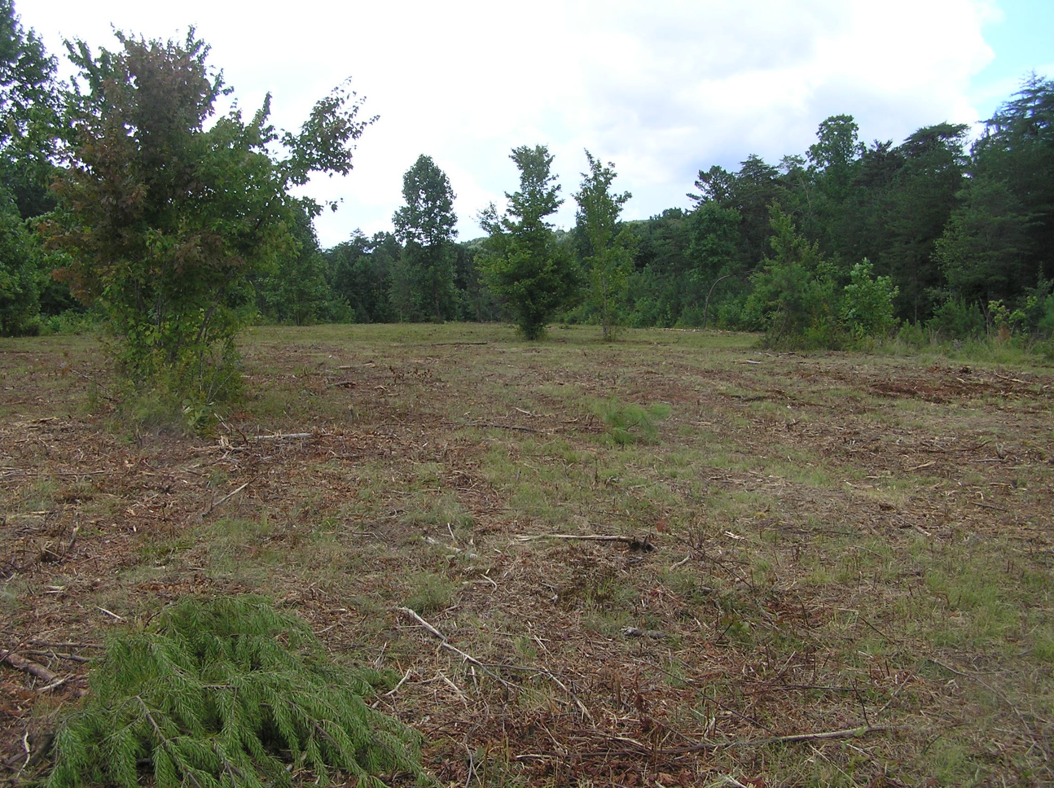 8766 Fredonia Road Dunlap, TN 37327 - Photo 14 of 41 a view of an outdoor space and a yard
