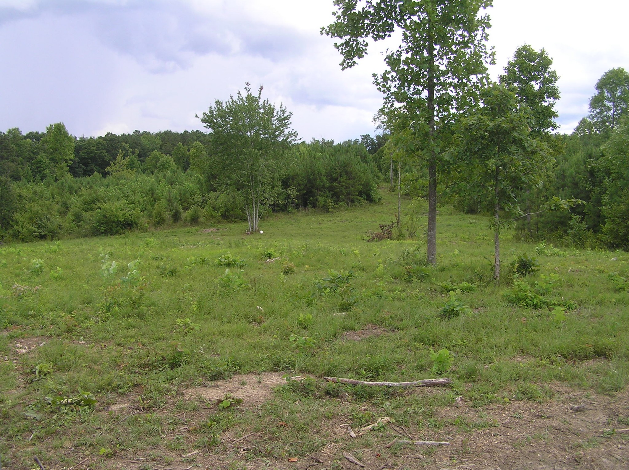 8766 Fredonia Road Dunlap, TN 37327 - Photo 2 of 41