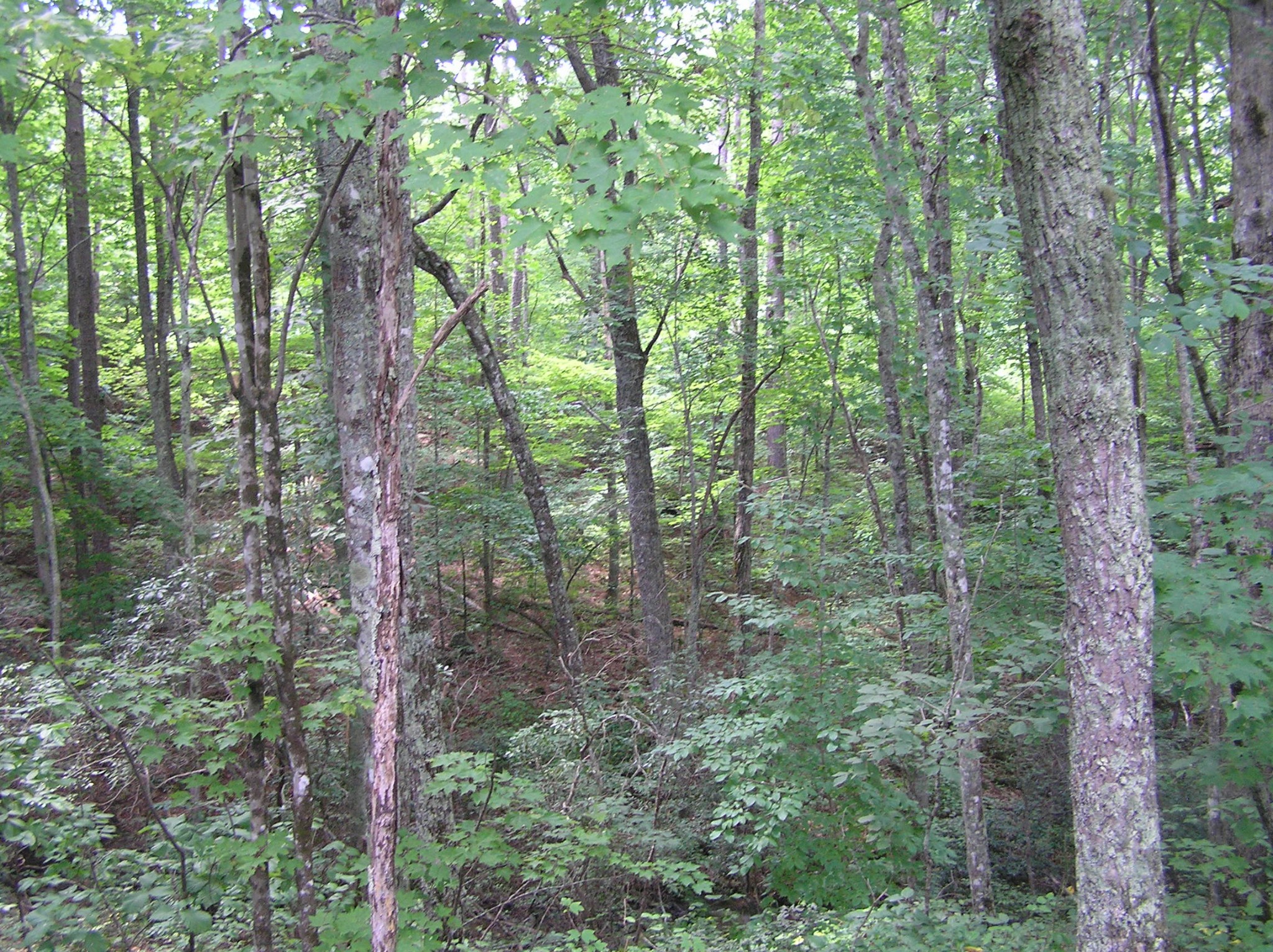 8766 Fredonia Road Dunlap, TN 37327 - Photo 36 of 41