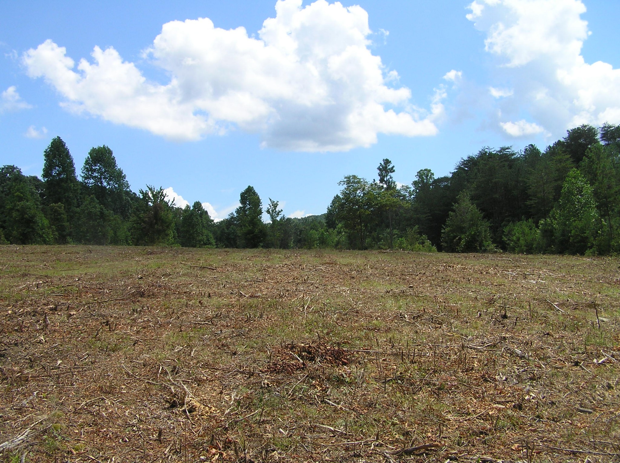 8766 Fredonia Road Dunlap, TN 37327 - Photo 38 of 41 a view of a field