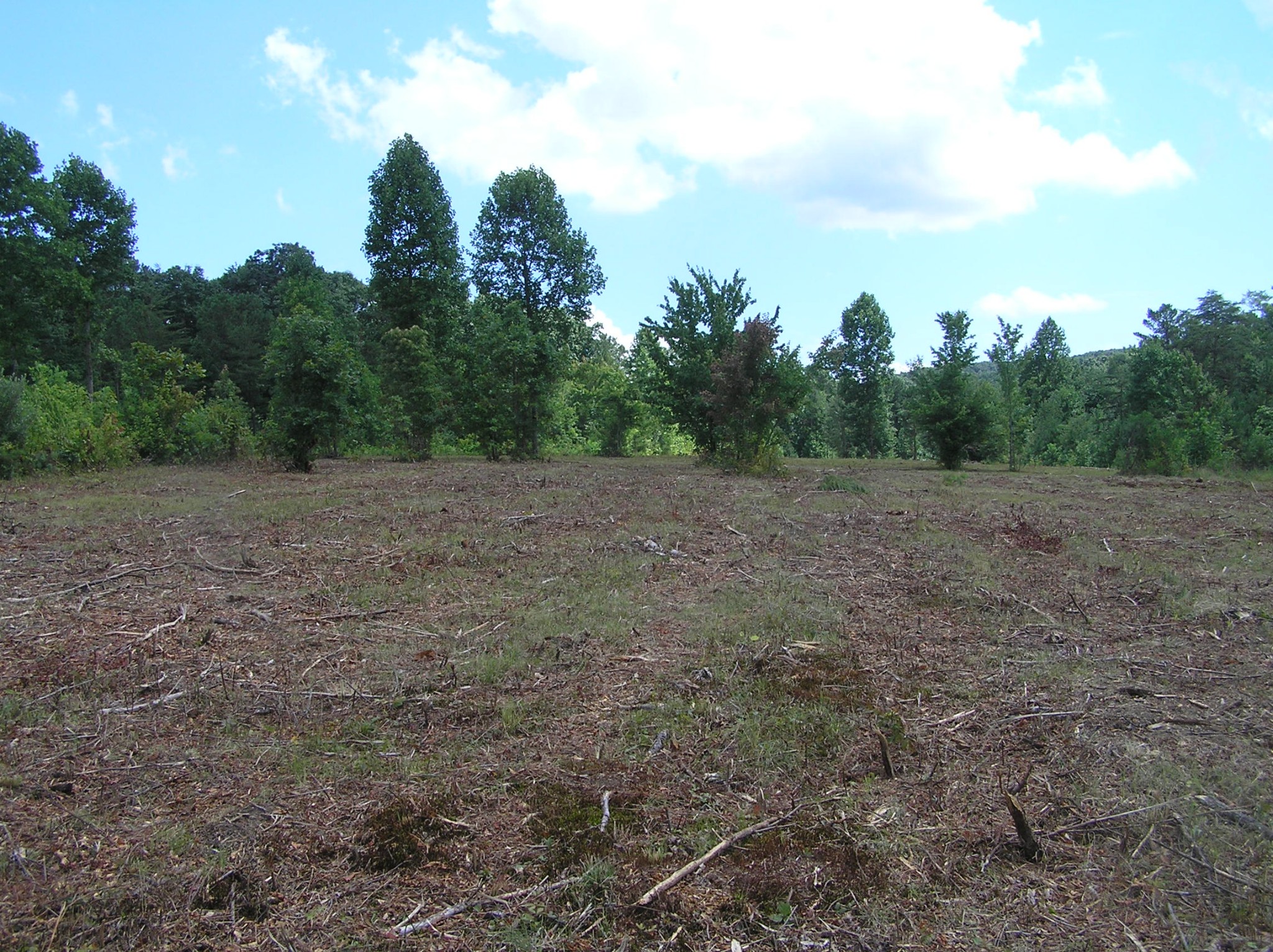 8766 Fredonia Road Dunlap, TN 37327 - Photo 39 of 41 a view of a field with trees in the background