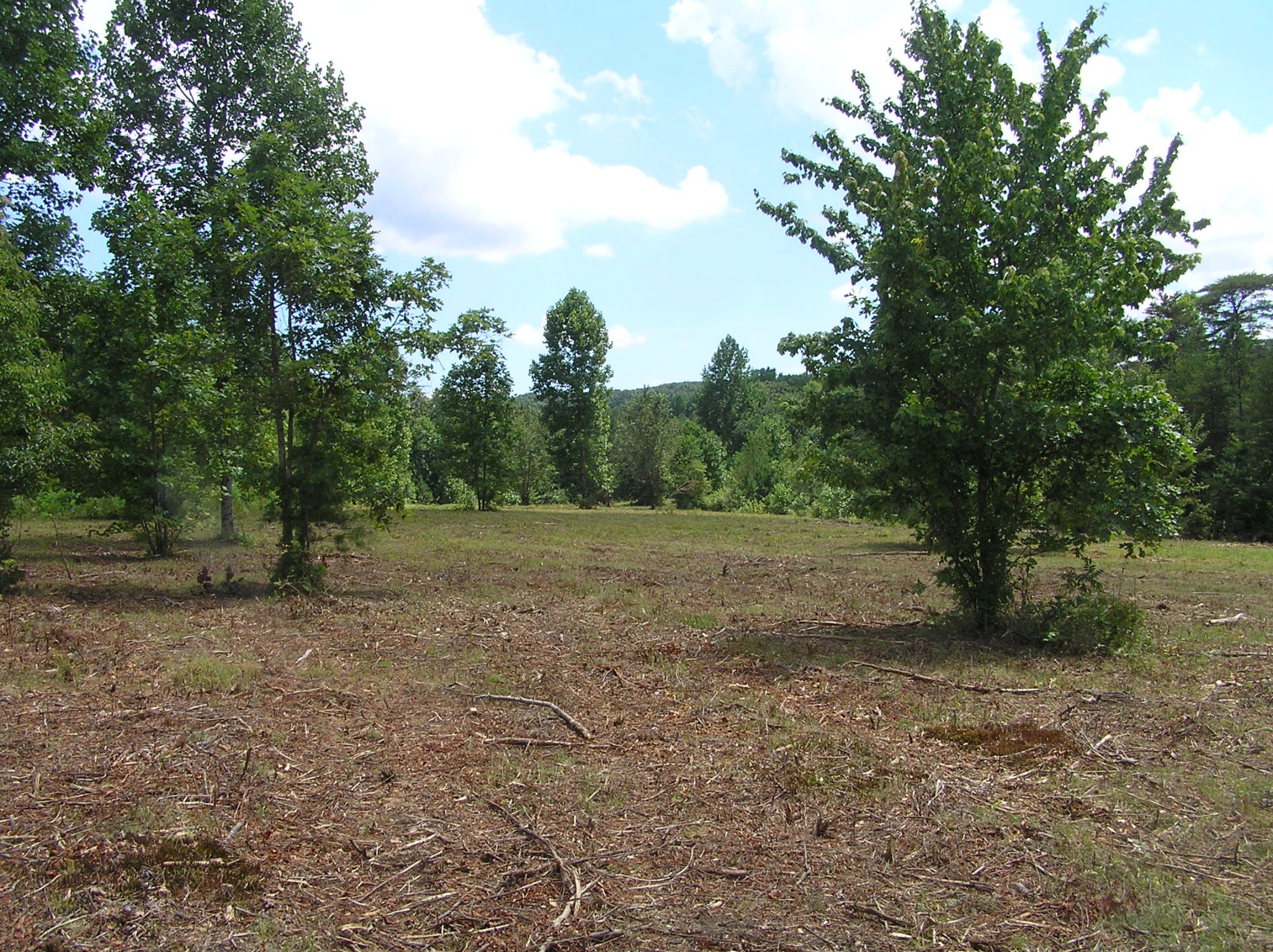 8766 Fredonia Road Dunlap, TN 37327 - Photo 40 of 41 a view of an outdoor space with trees