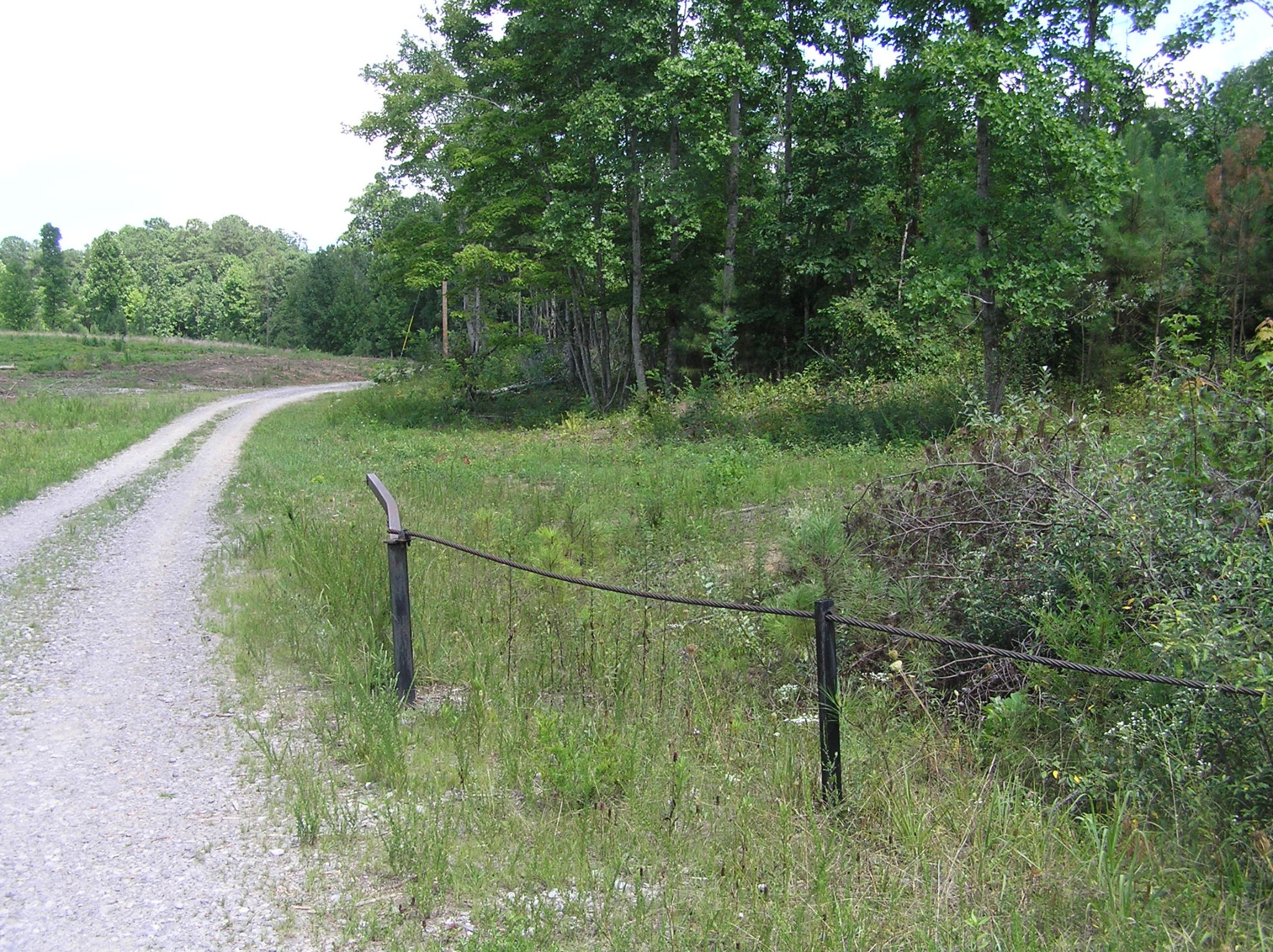 8766 Fredonia Road Dunlap, TN 37327 - Photo 6 of 41 a view of a field