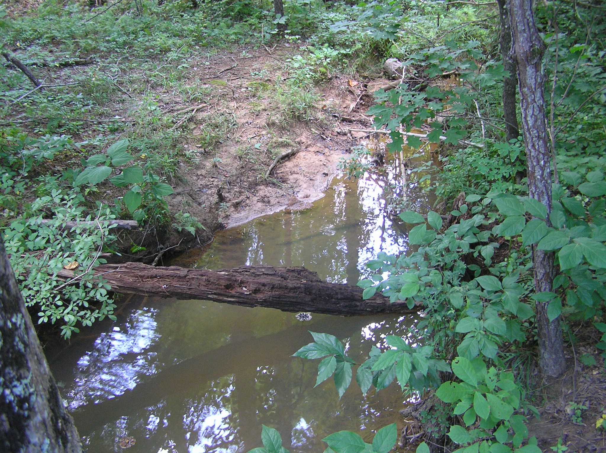 8766 Fredonia Road Dunlap, TN 37327 - Photo 7 of 41 a view of lake