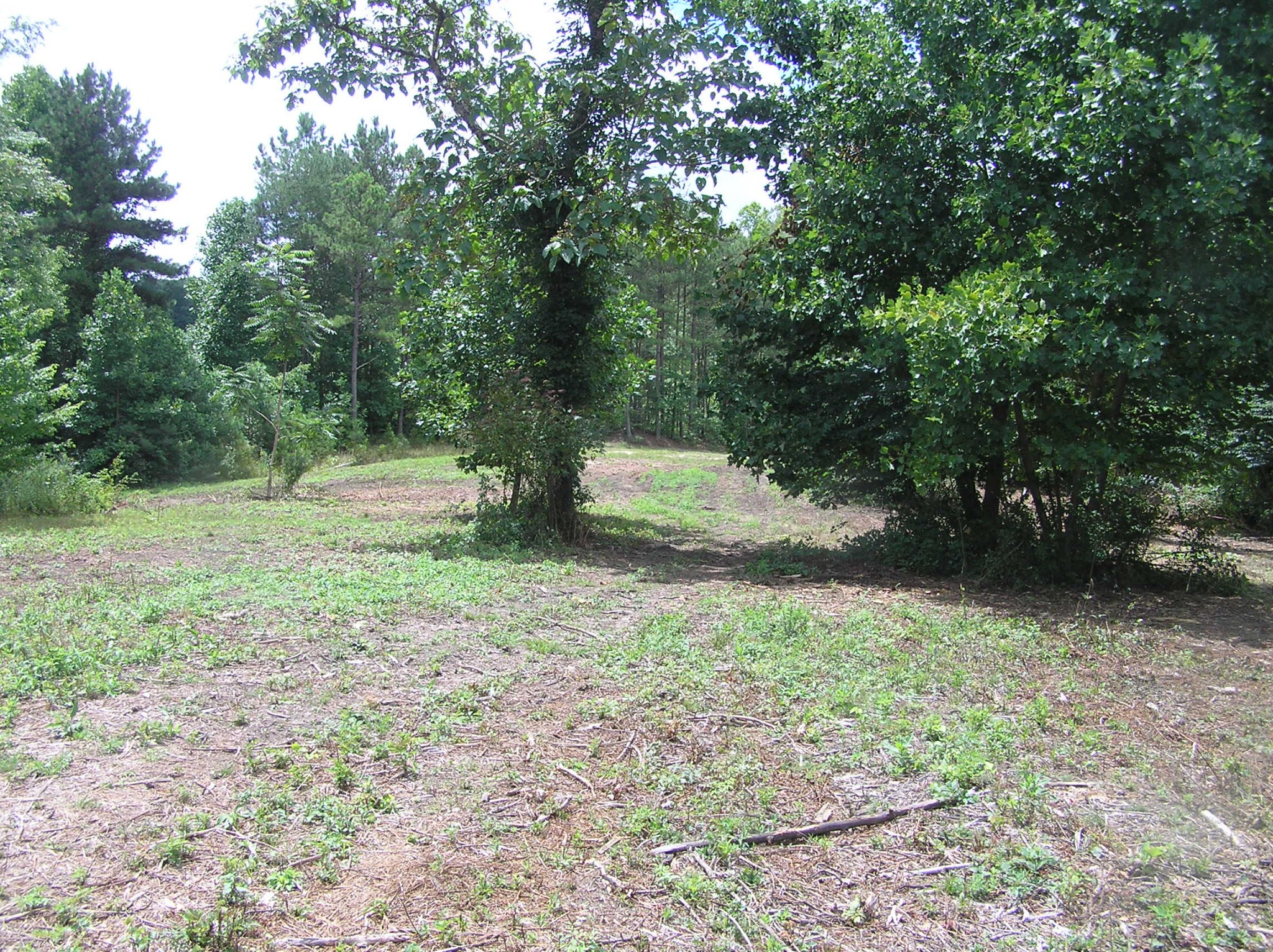 8766 Fredonia Road Dunlap, TN 37327 - Photo 10 of 41 a fire hydrant in the middle of a field