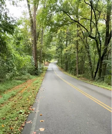 a view of a yard with plants and trees