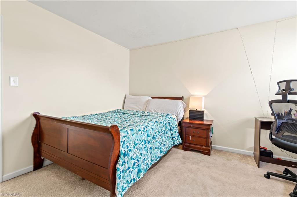 4607 White Beard Road High Point, NC 27265 - Photo 36 of 48